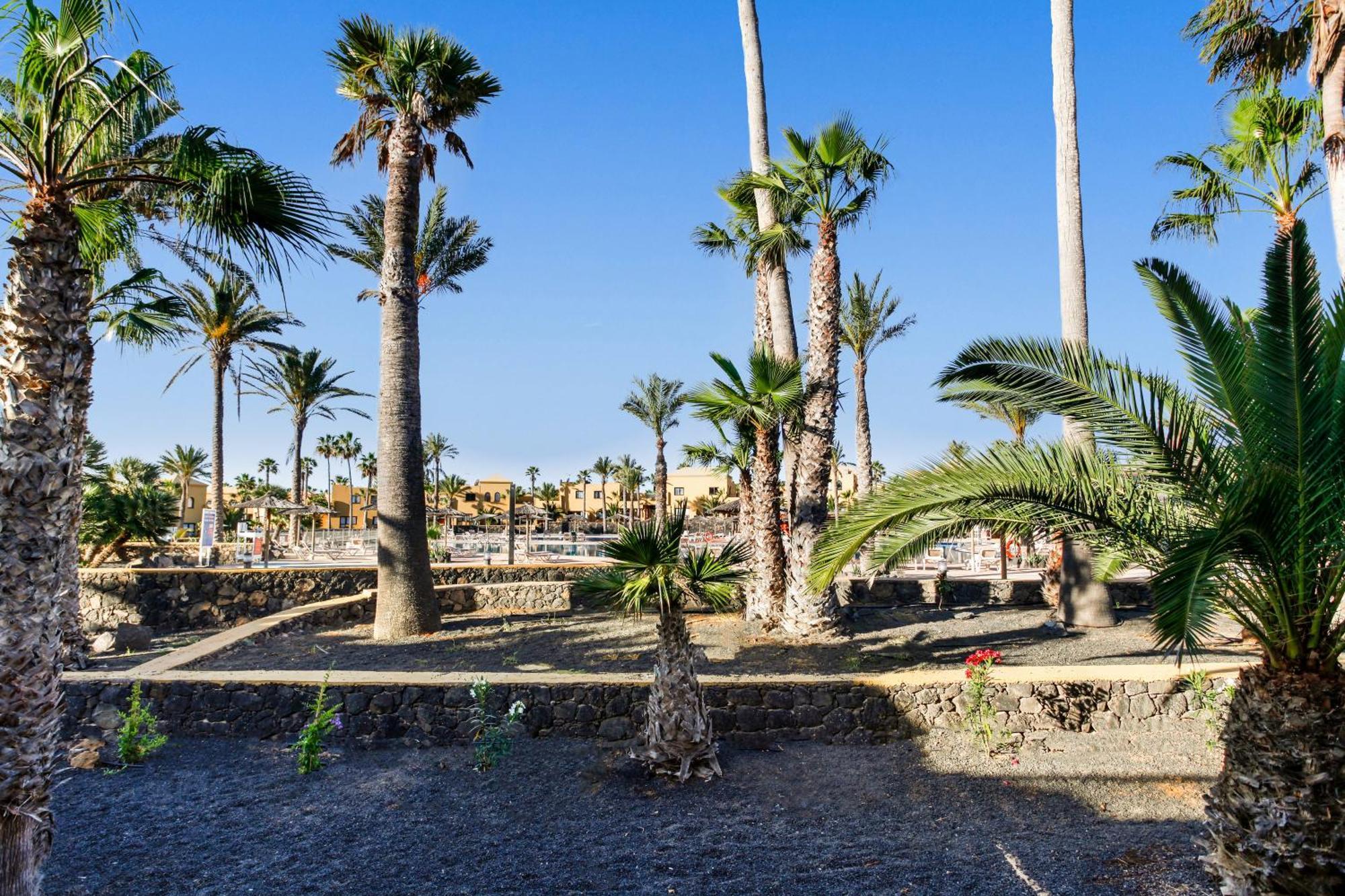 Apartamento Papagayo Corralejo Dış mekan fotoğraf